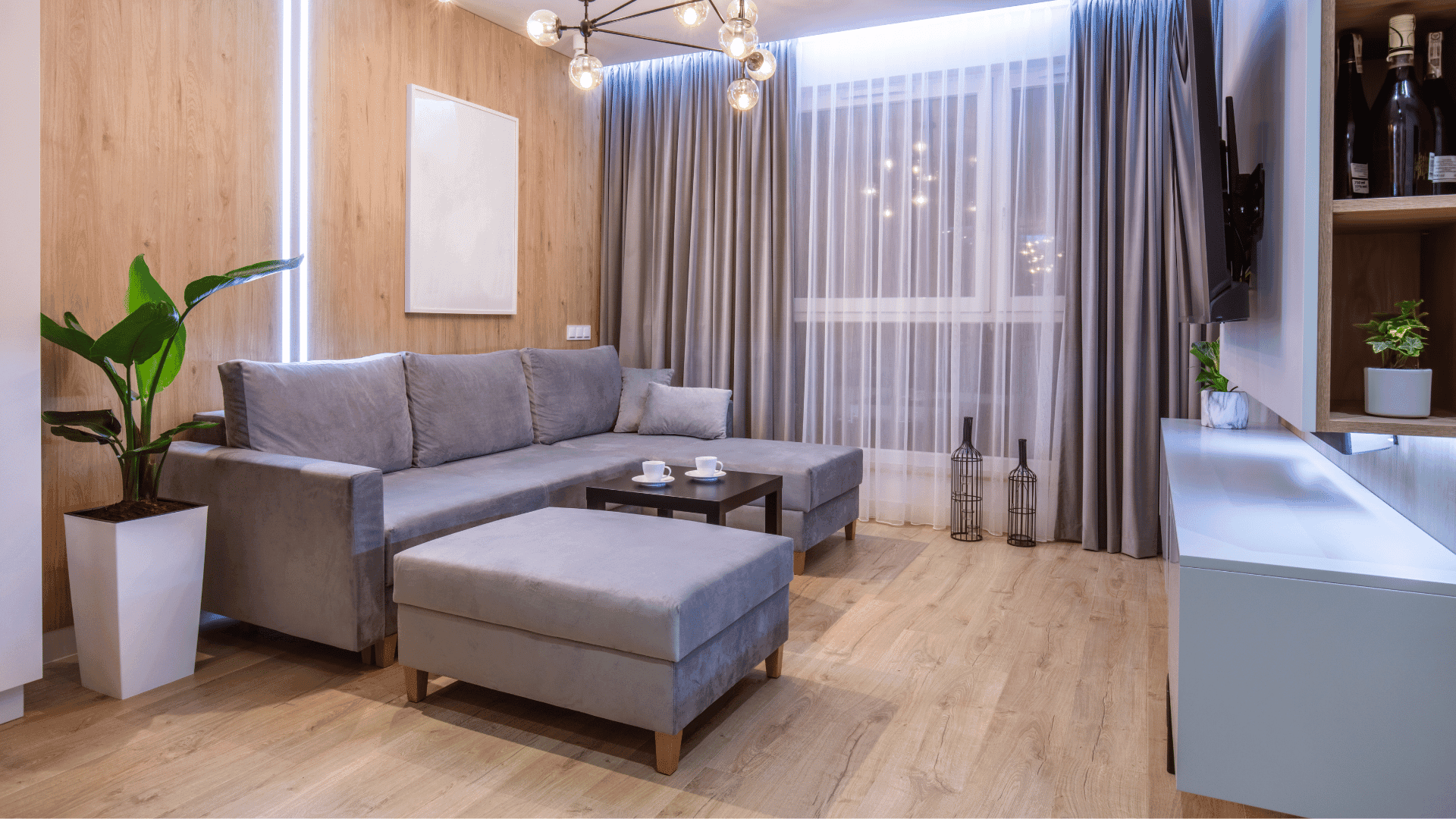 Modern fully furnished living room in a premium coliving space in Koramangala with stylish sofa, wooden flooring, and natural lighting.